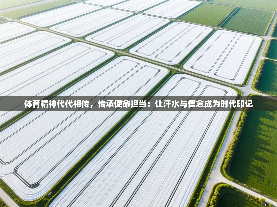 体育精神代代相传,传承使命担当:让汗水与信念成为时代印记 第1张