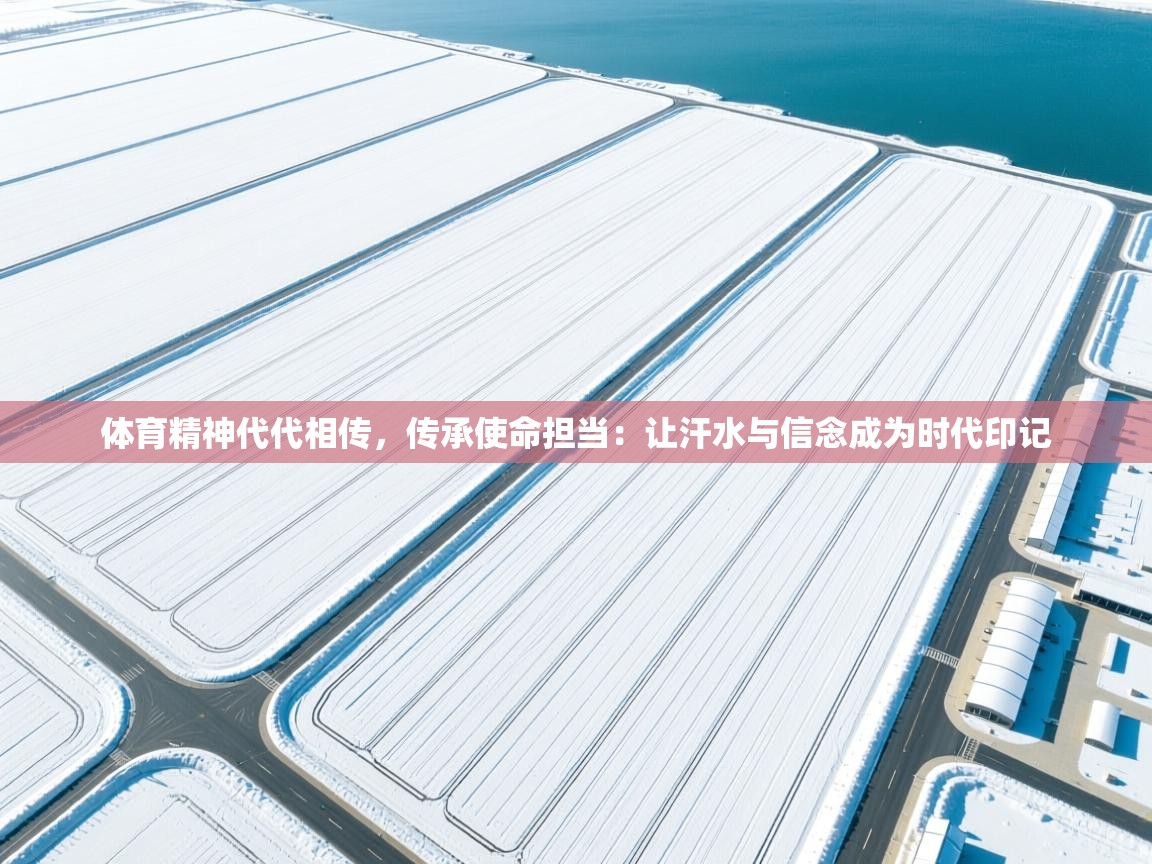 体育精神代代相传,传承使命担当:让汗水与信念成为时代印记 第2张